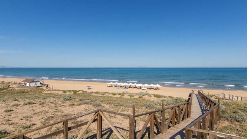 Foto de Platja del Montcaio