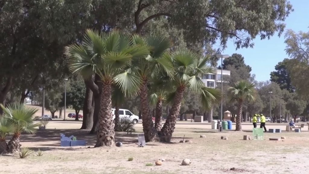 Platja del Tio Roig — foto 1 de 6