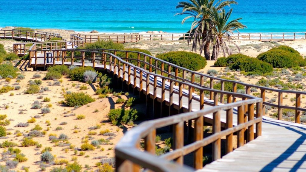 Platja dels Arenals del Sol — foto 6 de 6