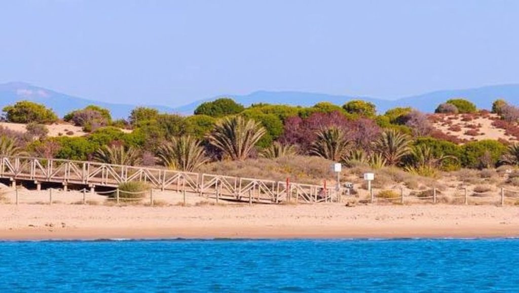 Platja dels Tossals — foto 4 de 6