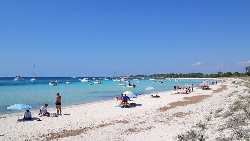 Arena y orilla en Platja des Caragol, Ses Salines, Mallorca