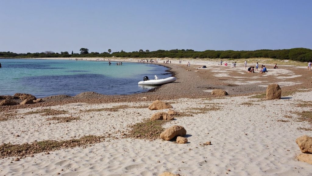 Alrededores de Platja des Caragol, Ses Salines
