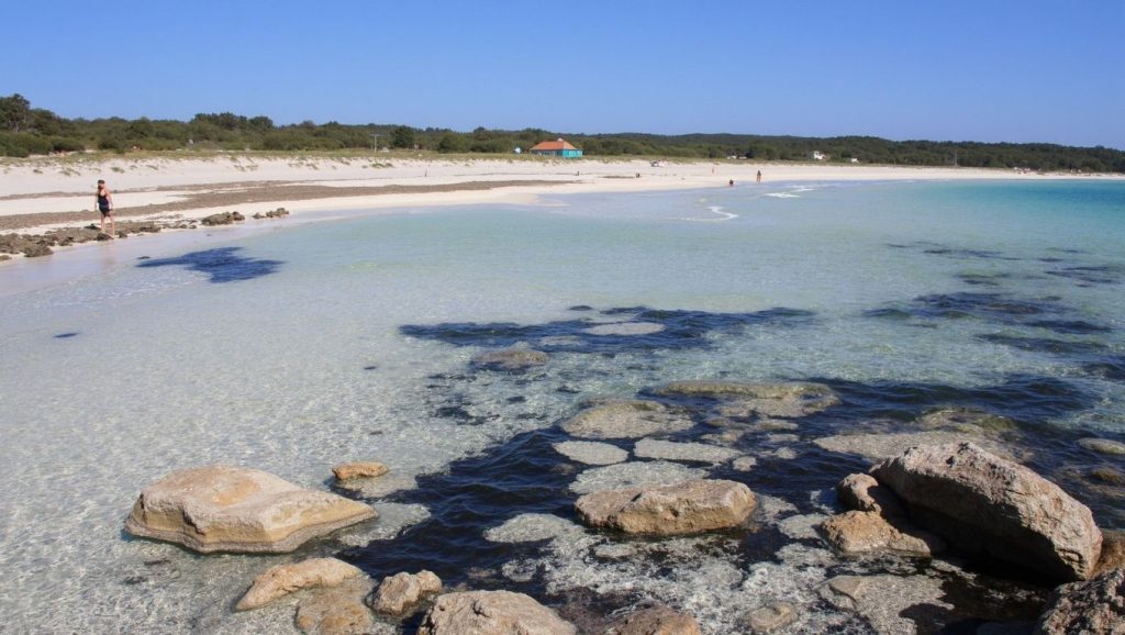 Primer plano de la orilla de Platja des Caragol, Ses Salines