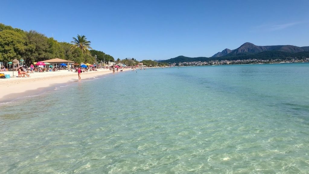 Playa Platja des Coll Baix en Alcúdia, Mallorca