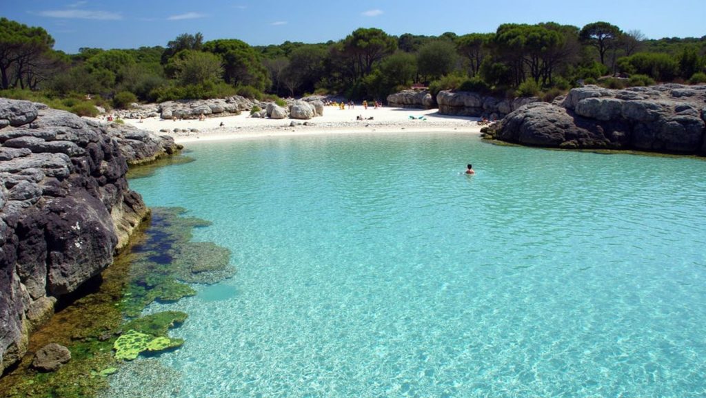 Platja des Comte — foto 3 de 6