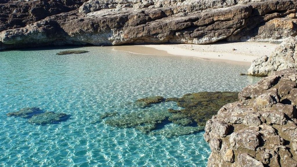 Platja des Comte — foto 6 de 6