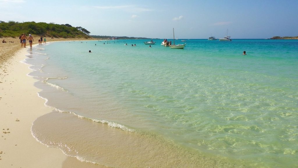 Amplia vista de Platja des Estanys, Ses Salines / Campos, Mallorca