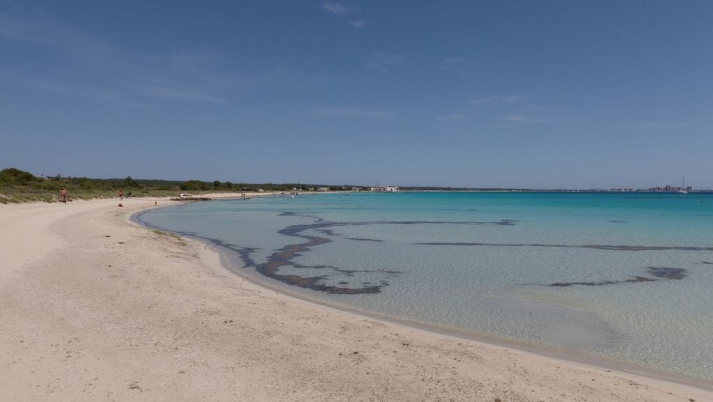 Panorámica de Platja des Freu con cielo despejado, Campos