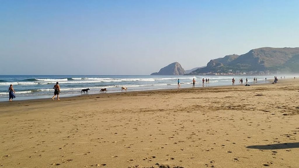 Foto de Playón de Bayas