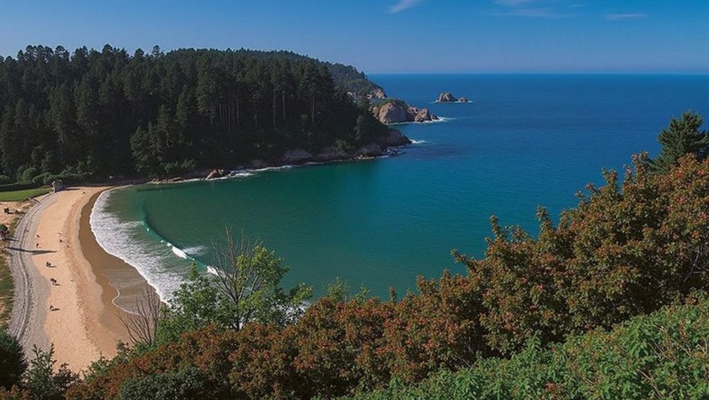 Arena de Playa a Ribeiría, Asturias (Asturias)