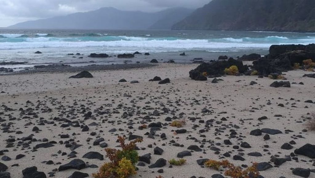 Playa Arenas Blancas — foto 6 de 6