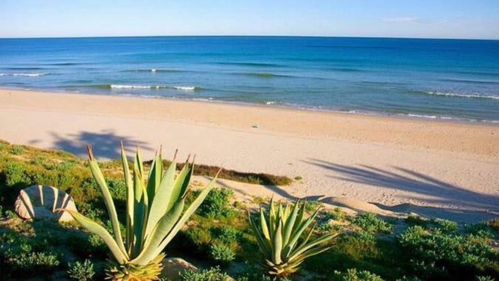 Playa Barranco Rubio Cala de Campoamor — foto 1 de 6