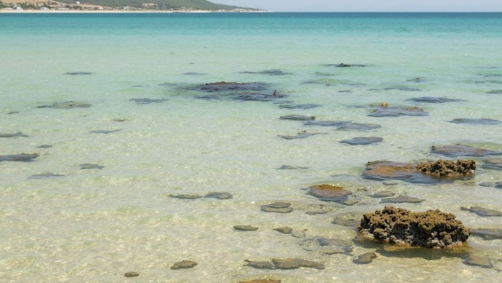 Playa Bolonia (Tarifa) — playa en la costa de Cádiz