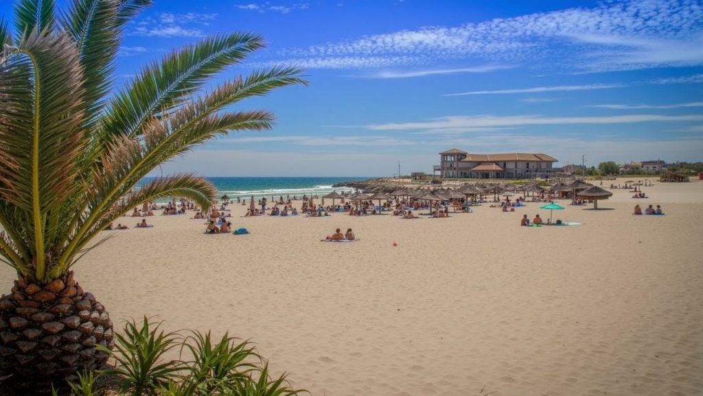 Foto de Playa Cala Bosque