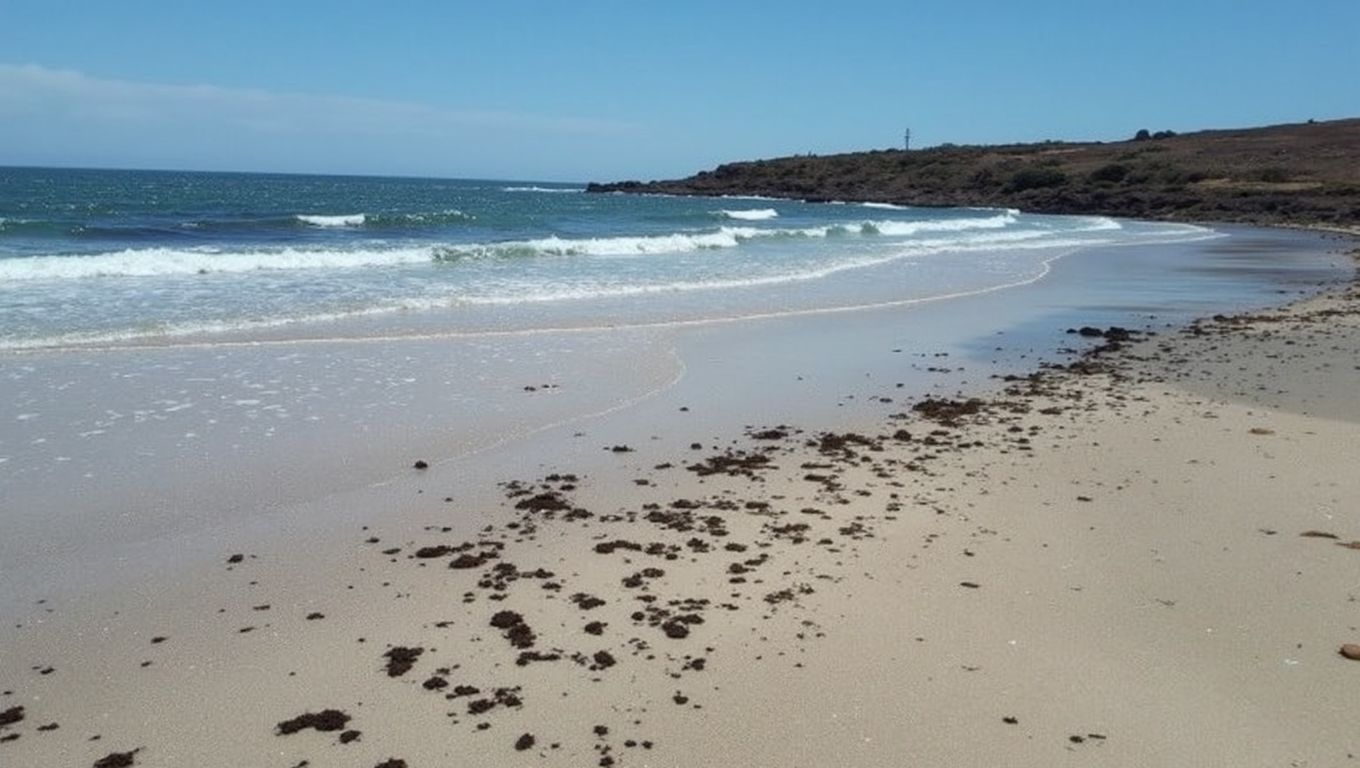 Playa Caletillas (Candelaria, Tenerife)