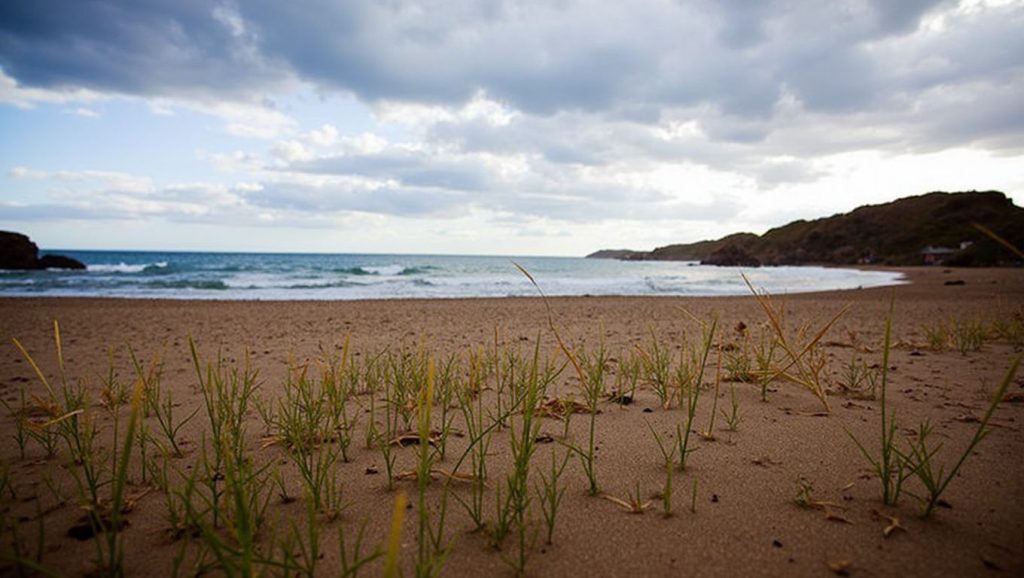 Playa Calnegre (Cartagena) — foto 6 de 6