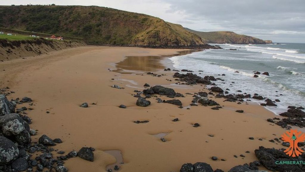 Arena de Playa Carniciega, Gozón (Asturias)