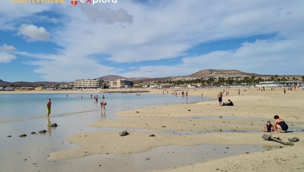 Arena de Playa Castillo, Puerto de la Cruz (Tenerife)