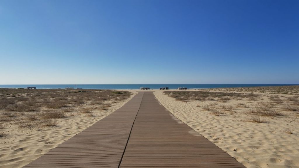 Foto de Playa Central