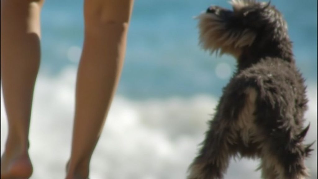 Playa Chica — foto 4 de 6