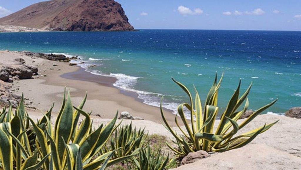 Arena de Playa Cuevas del Trigo, Granadilla de Abona (Tenerife)