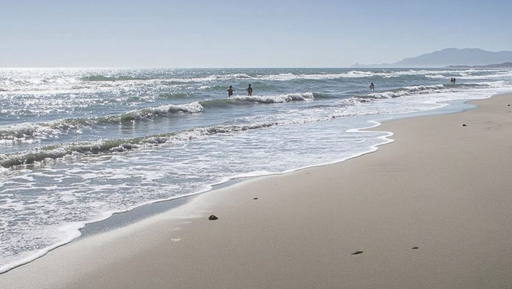 Vista de Playa de Alicate desde la orilla, Marbella
