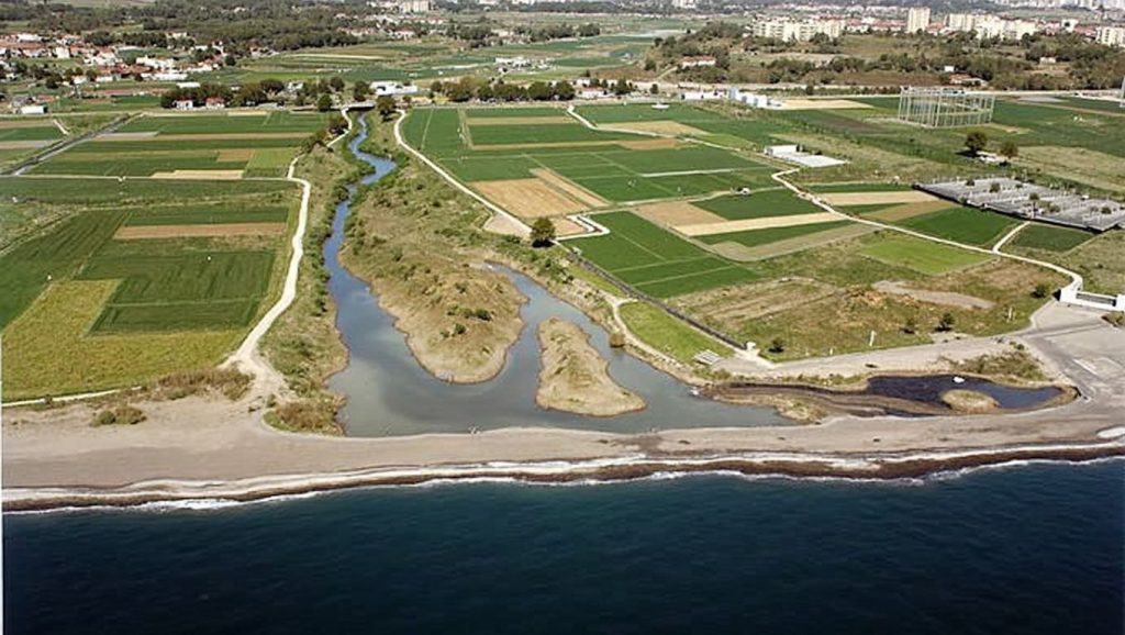 Vista de Playa de Almayate Bajo desde la orilla, Vélez-Málaga