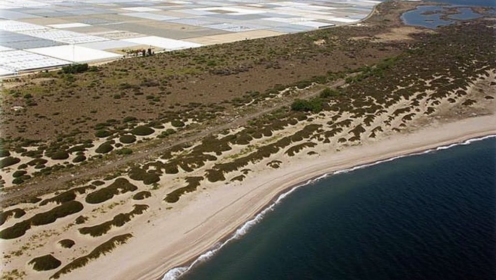 Vista amplia de Playa de Almerimar en El Ejido, Almería