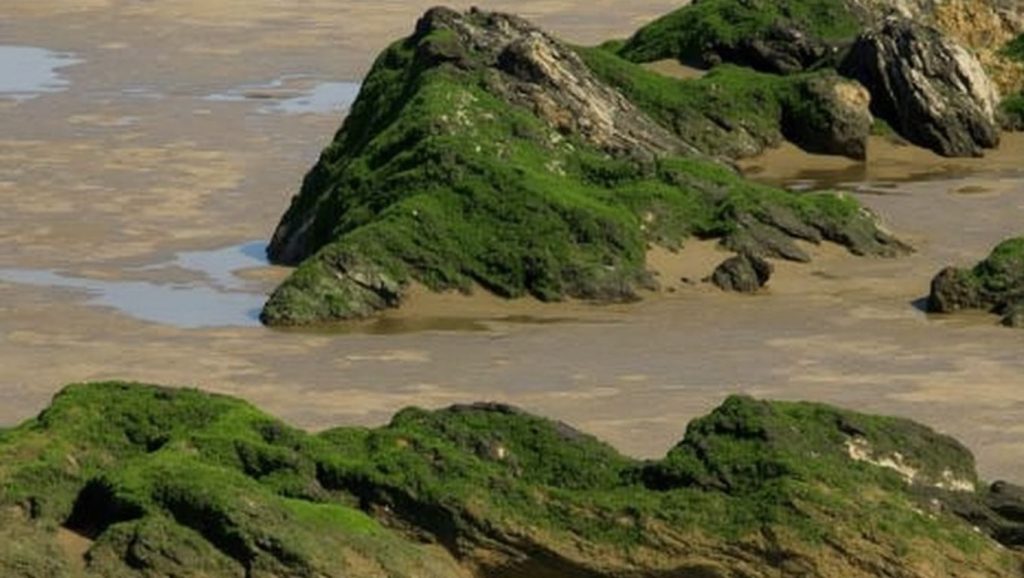 Costa de Playa de Bañugues en Gozón, Asturias