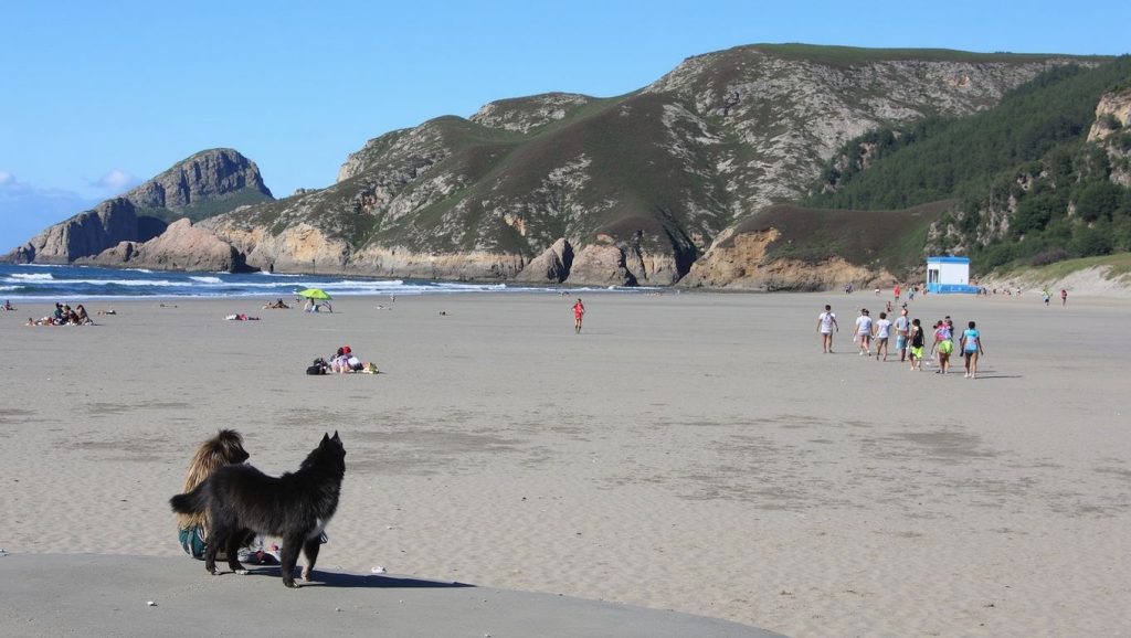 Panorámica de Playa de Bayas - Zona para perros, Asturias
