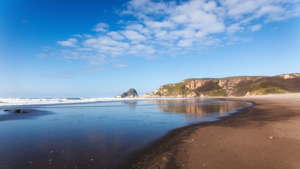 Foto de Playa de Bayas - Zona para perros