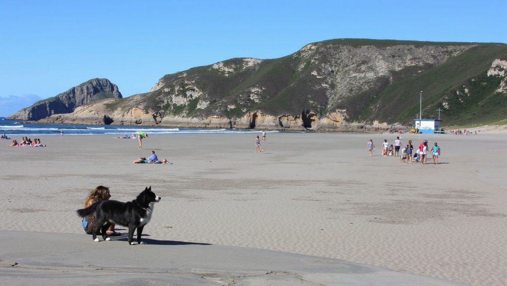 Foto de Playa de Bayas - Zona para perros
