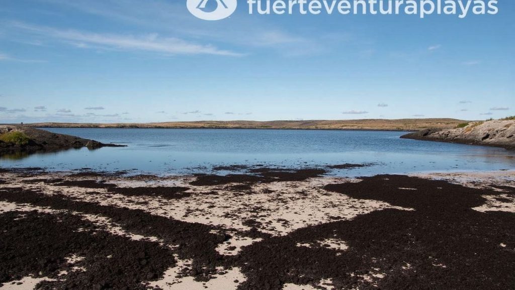 Aguas de Playa de Beatriz en La Oliva (Fuerteventura)