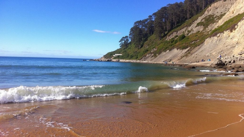 Foto de Playa de Bonhome