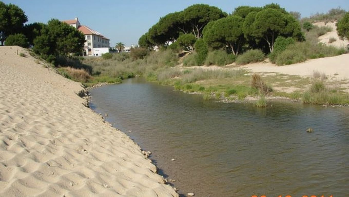 Playa de Caño de la Culata (Cartaya, Huelva)