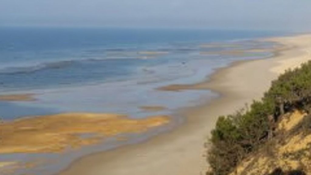 Camino de acceso a Castilla, Almonte, Huelva