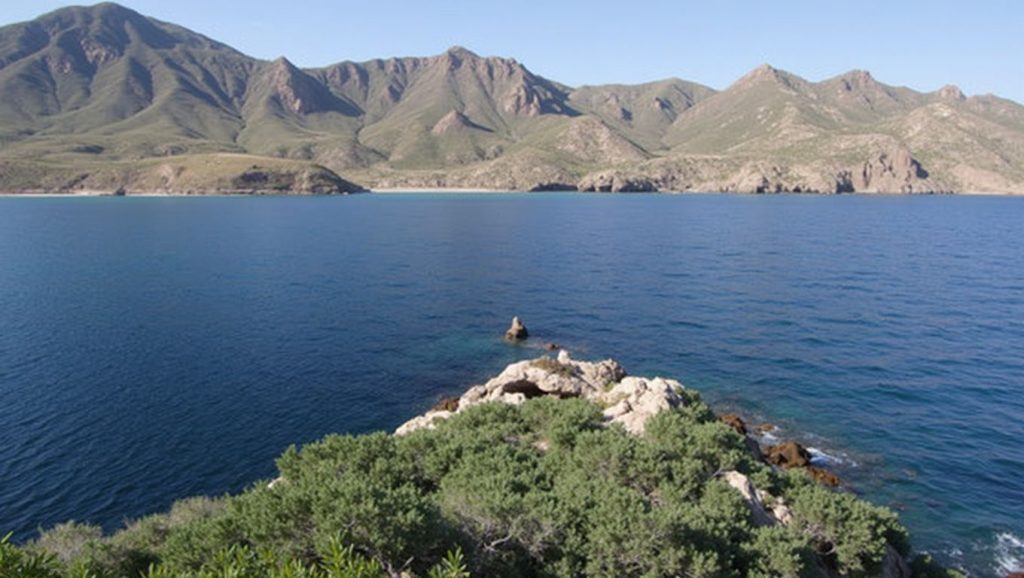 Playa de Cueva Lobos — foto 2 de 6