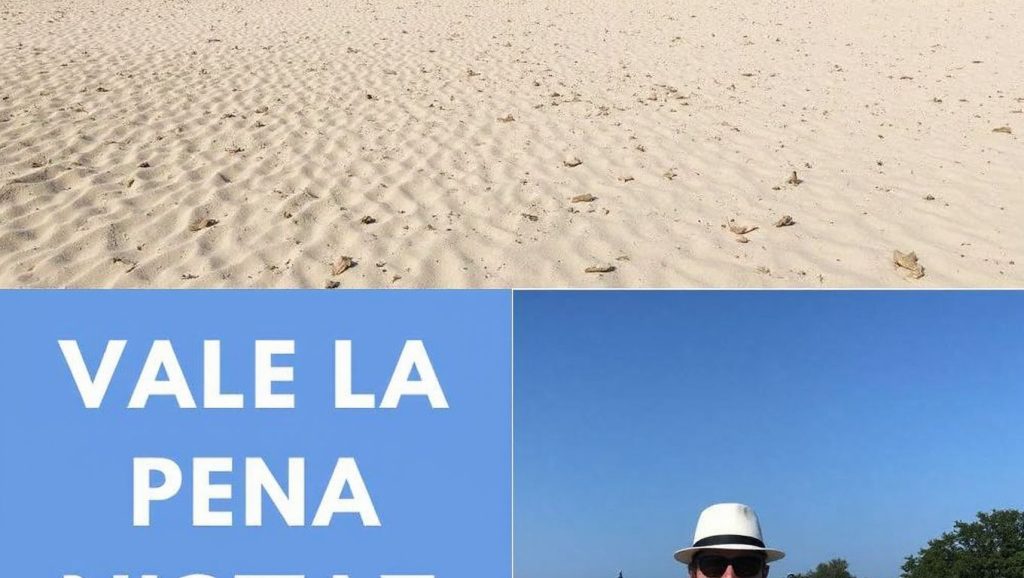 Arena y orilla en Playa de El Ancon, Marbella, Málaga