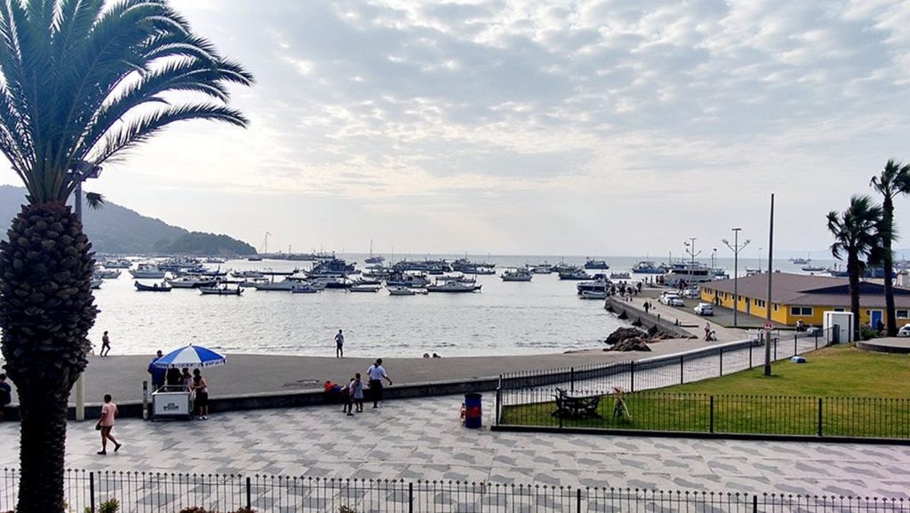 Camino de acceso a El Ancon, Marbella, Málaga