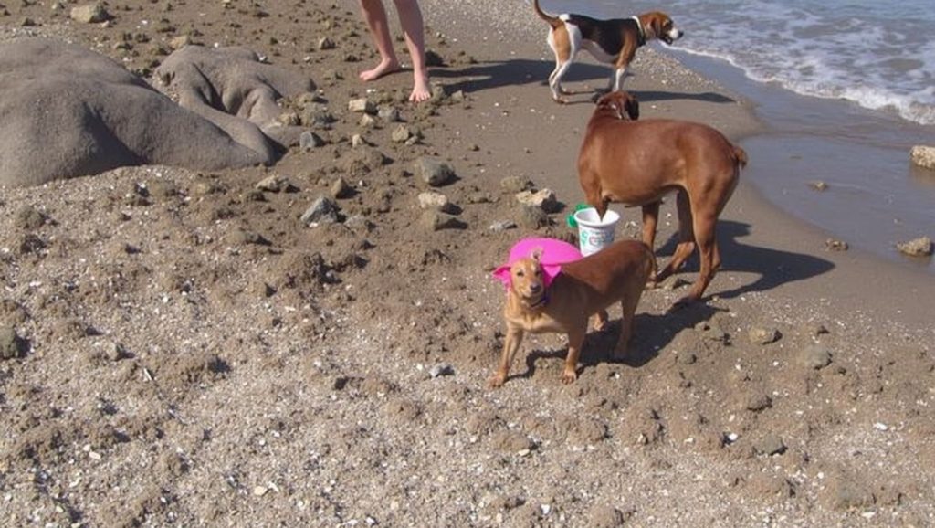 Arena y mar en Playa de El Ejido, Fuengirola, Málaga