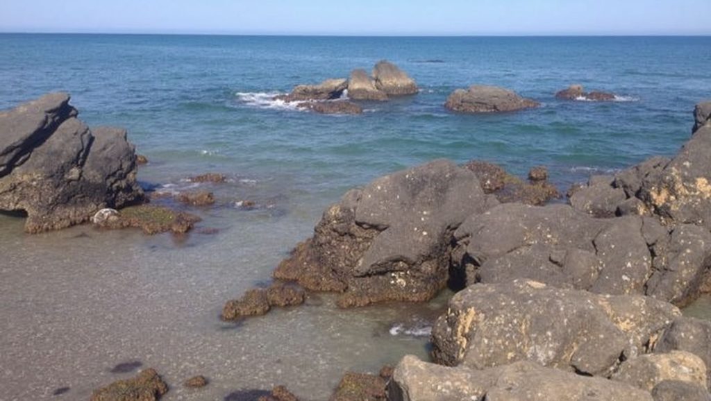 Primer plano de la orilla de Playa de El Ejido, Fuengirola