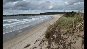 Playa de El Espartal