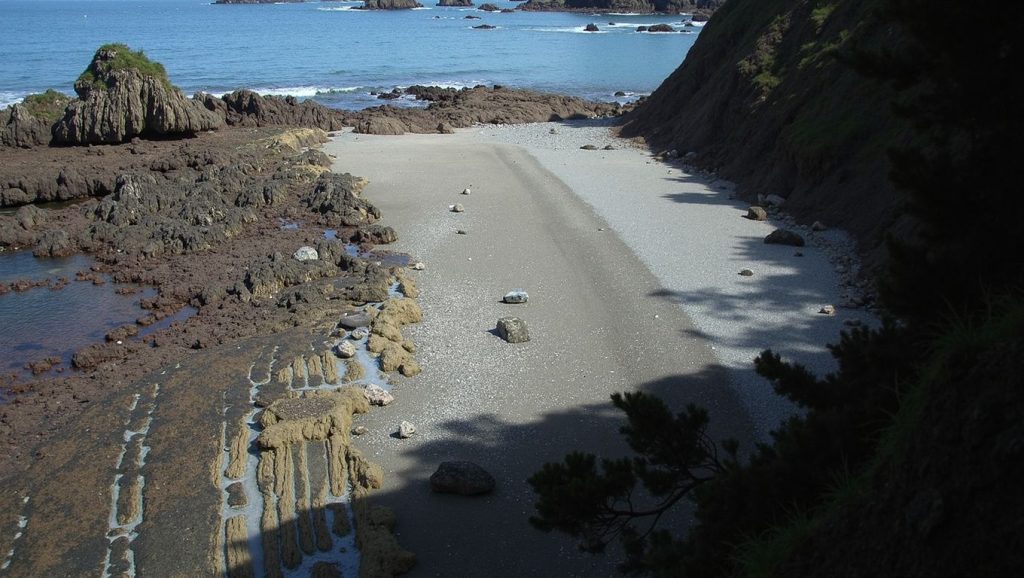 Entorno natural de Playa de El Puerto en Asturias