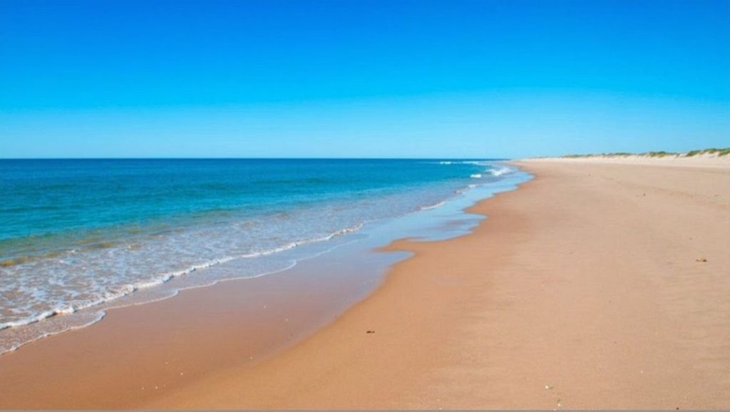 Foto de Playa de El Rompido (frente al pueblo)