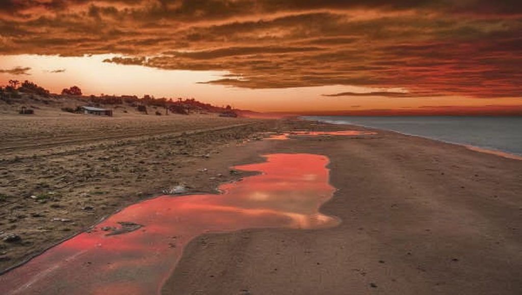 Playa de Elviria — foto 1 de 6