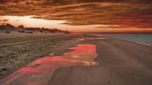 Playa de Elviria (Marbella, Málaga)