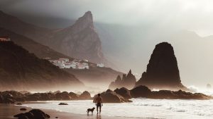 Playa de Fabián