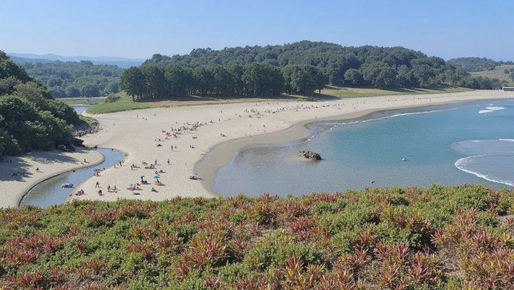 Aguas de Playa de Frexulfe en Navia (Asturias)