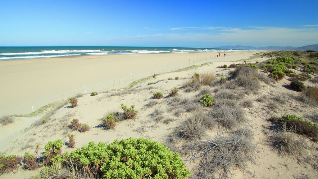 Playa de l'Ahuir — foto 6 de 6