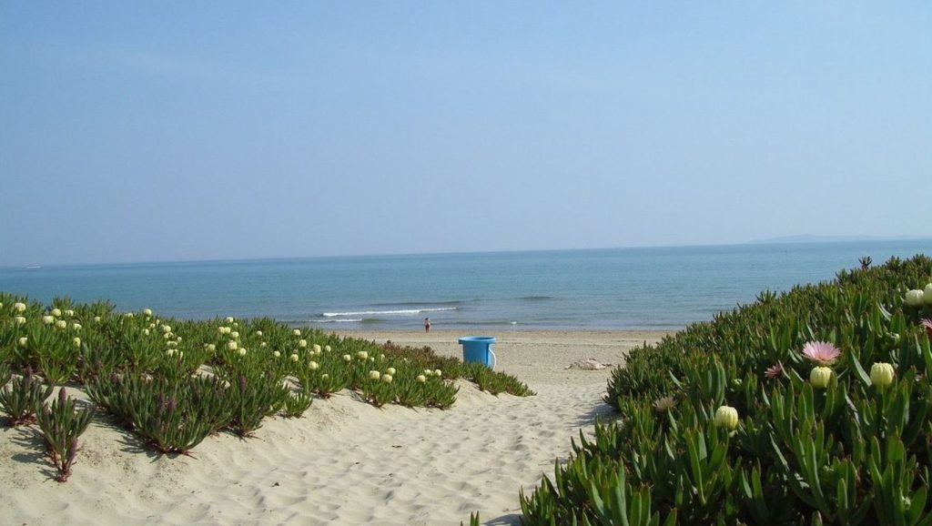 Playa de l'Aigua Blanca — foto 6 de 6